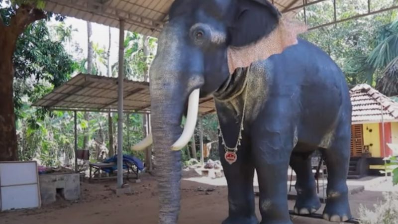PETA Подпись к фото, Основа имитации слона - металлический каркас