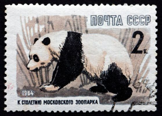 Марка с изображением панды, выпущенная к столетию московского зоопарка Borislav Marinic/Vostock Photo