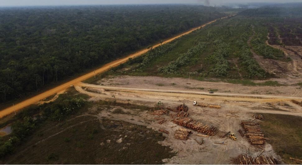 По данным экологических организаций, вырубка реликтовых лесов бассейна Амазонки происходит с финансовым участием ряда европейских банков. © Edmar Barros / AP