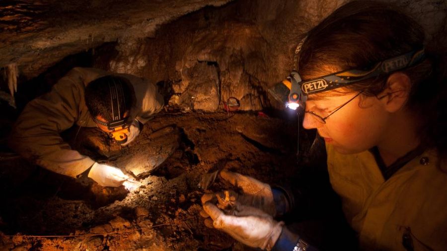 Археологи в пещере. Обложка © Getty Images / Amy Toensing