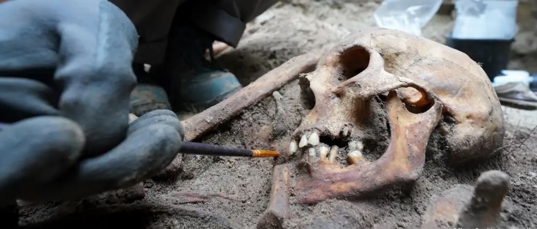 Человеческий череп на месте археологических раскопок в ЛюбекеФото: Marcus Brandt/picture alliance/dpa