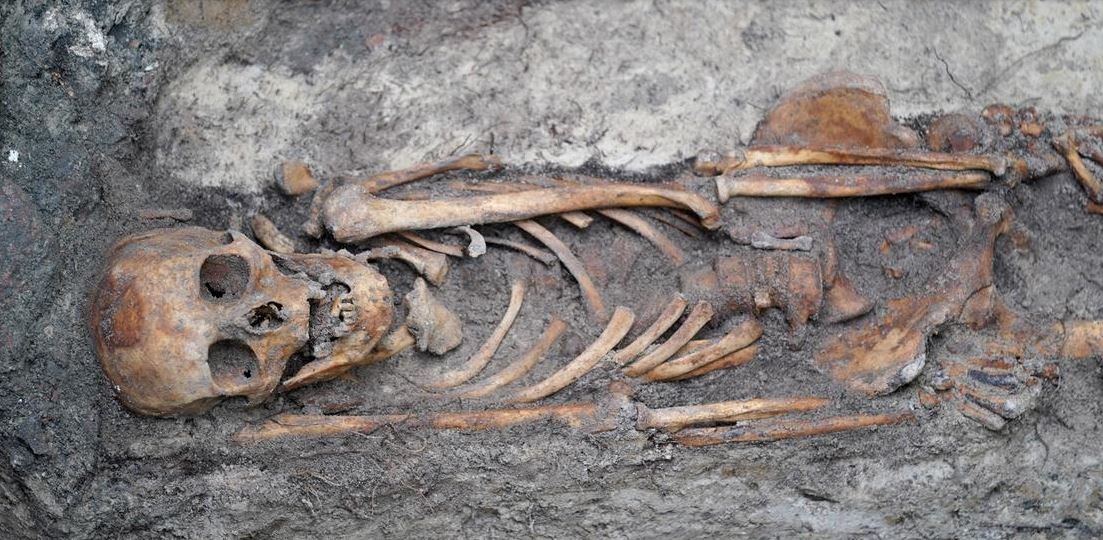 Один из двухсот человеческих скелетов, найденных около ХюкстертораллеФото: Marcus Brandt/picture alliance/dpa