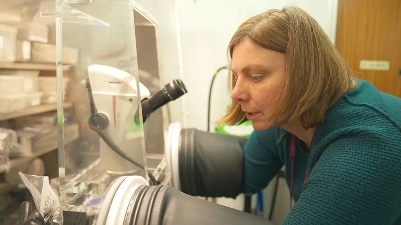 BBC/KEVIN CHURCH Подпись к фото, Профессор Сара Рассел говорит, что крошечный образец породы Бенну задаст работу британским ученым на много лет вперед