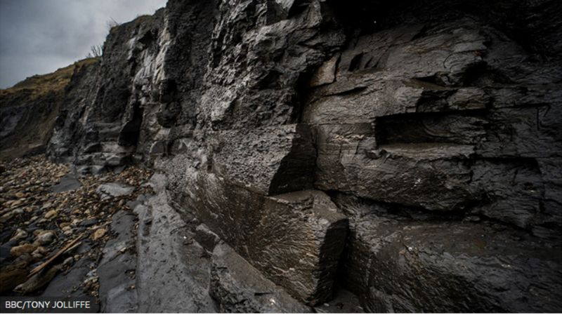 BBC/TONY JOLLIFFE Подпись к фото, Когда-то эти скалы были дном Юрского моря