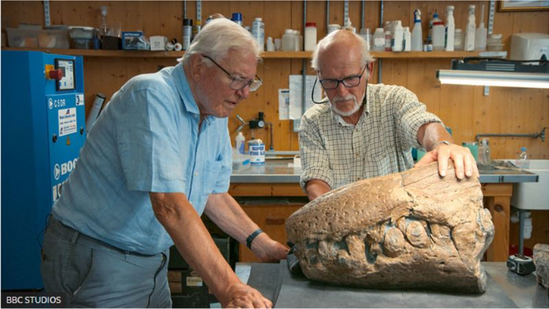 BBC STUDIOS Подпись к фото, Стив Этчес показывает Дэвиду Аттенборо кончик носа, первую найденную часть черепа