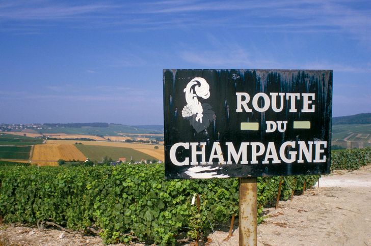«Туристическая дорога шампанского» (Route Touristique du Champagne) протянулась больше чем на 500 километров Источник: robertharding via Legion Media