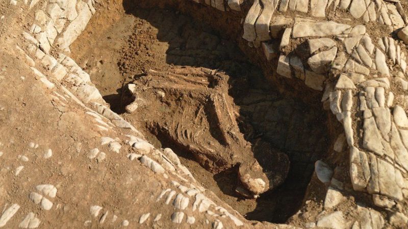 Археологам невероятно повезло: несмотря на почтенный возраст останков, кости скелета сохранились почти полностью