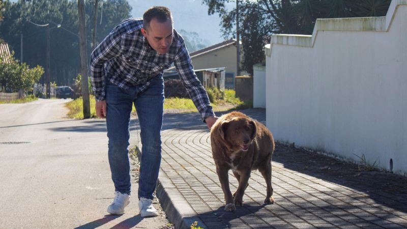 REUTERS Подпись к фото, Боби на прогулке с хозяином. Тут, кстати, хорошо видно, что левый, находящийся в тени бок пса — коричневый, а правый, который на солнце — рыжеватый