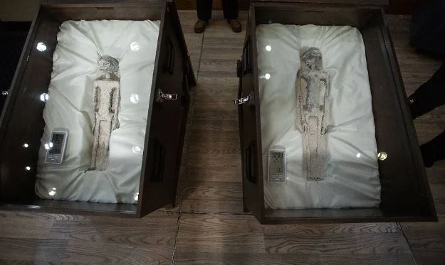 Показанные в здании Конгресса Мексики "мумии инопланетян". Фото © Getty Images / Daniel Cardenas / Anadolu Agency