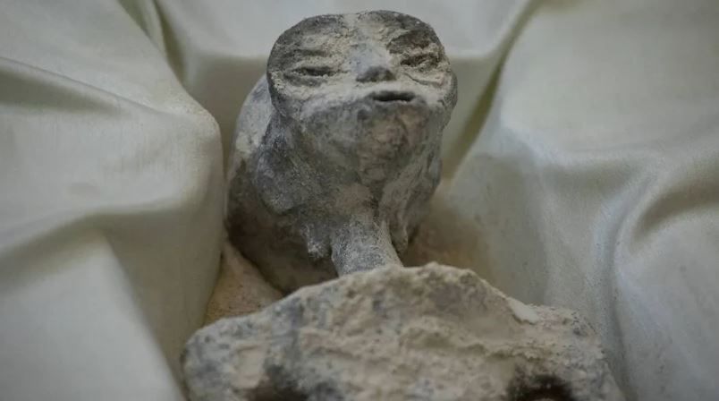 Одна из "мумий инопланетян", якобы найденных в Перу. Обложка © Getty Images / Daniel Cardenas / Anadolu Agency